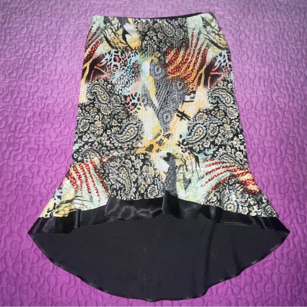 Multicolor Women's Skirt